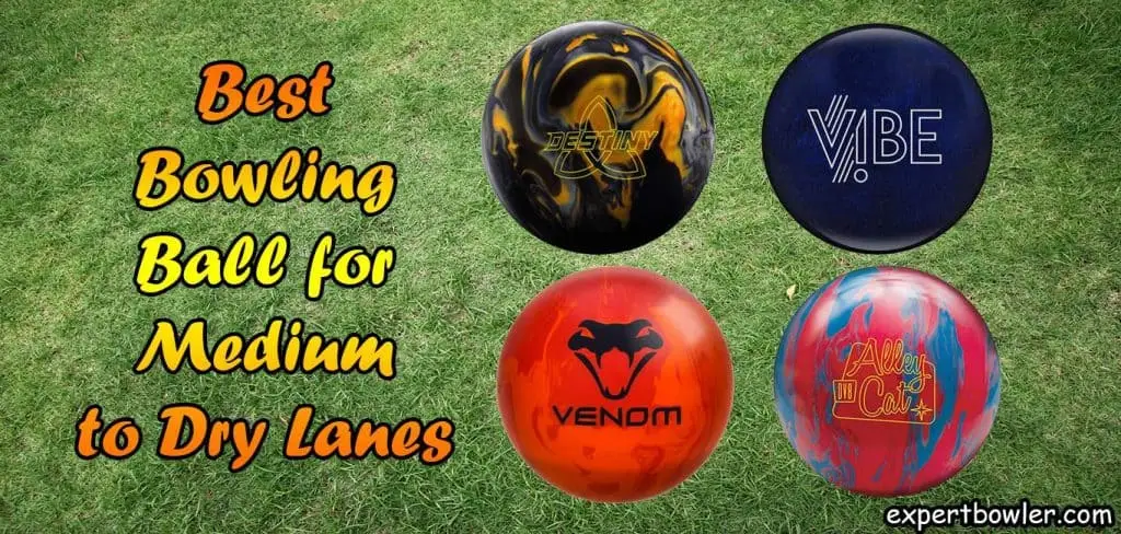 best bowling ball for medium to dry lanes destiny vibe venom alley cat reviews expertbowler